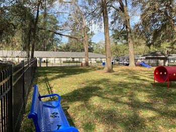 Spacious off-leash dog park with agility features